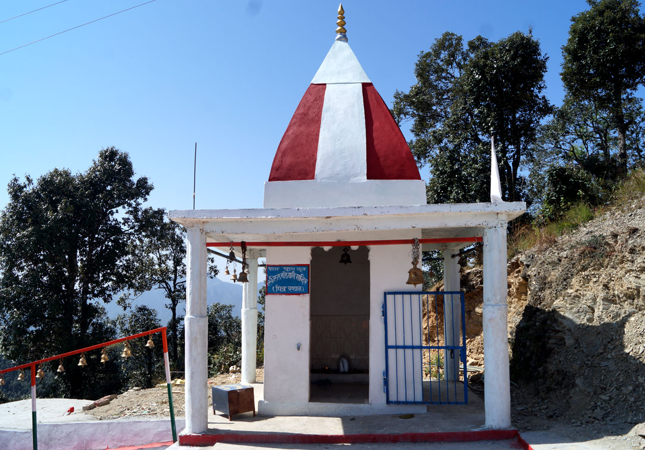 बडियारी वंशज